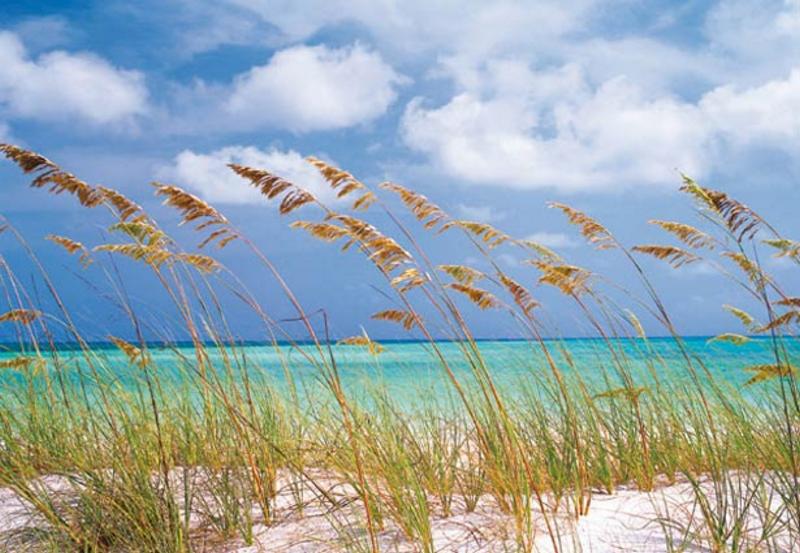 OCEAN BREEZE, Dnen am Strand - bei Klick zurck zur Motivbersicht