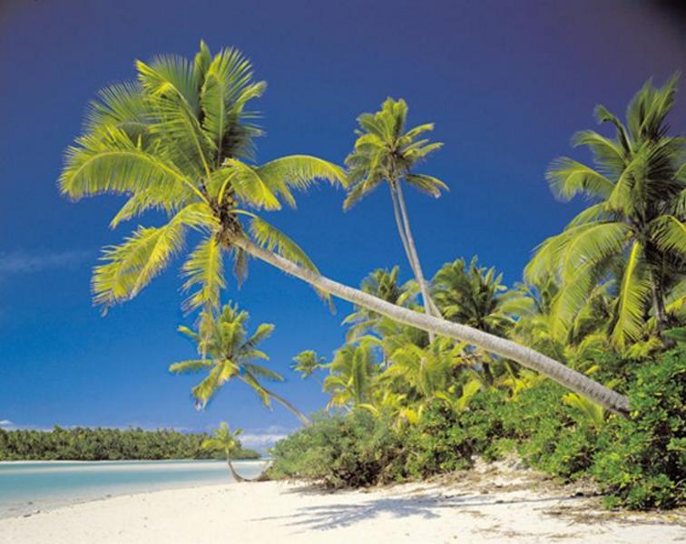 Mauritius, weisser Strand, grne Oase - bei Klick zurck zur Motivbersicht