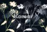 grafisches Blumenmuster, hell auf dunkel als Fototapete