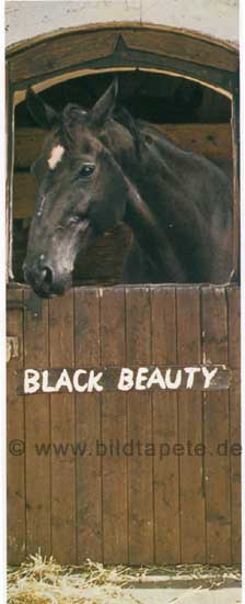 Black Beauty, Der schwarze Hengst - bei Klick zurck zur Motivbersicht