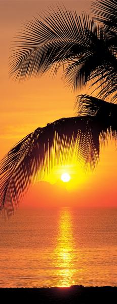 goldener Sonnenuntergang mit Palmen, Blick aufs Meer - bei Klick zurck zur Motivbersicht