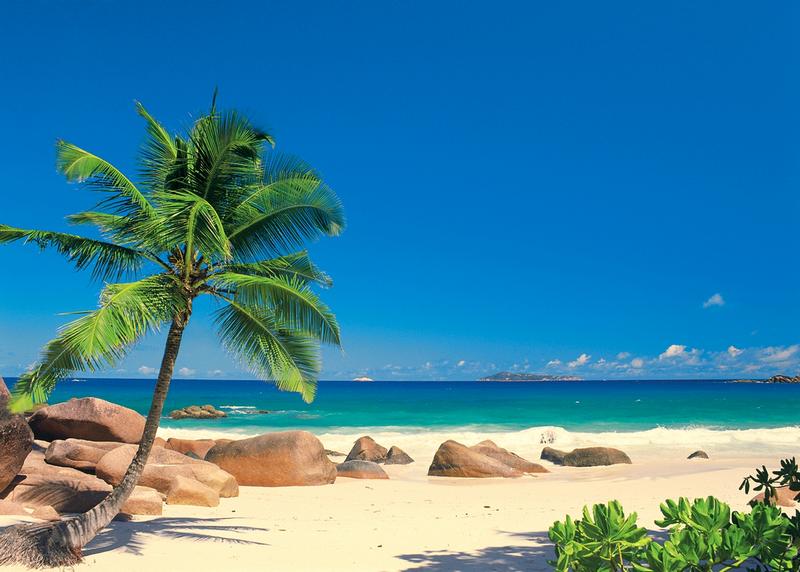 Seychellen Insel La Digue, blauer Himmel, weier Strand - bei Klick zurck zur Motivbersicht