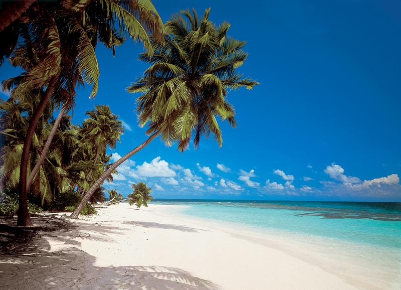 Martinique, weisser Strand - bei Klick zurck zur Motivbersicht