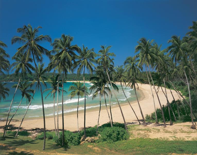 Tropical Bay, grne Oase - bei Klick zurck zur Motivbersicht