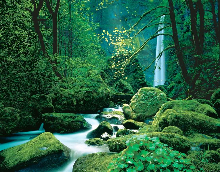 Elfenwald, Zauber der Natur - bei Klick zurck zur Motivbersicht