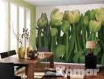 TULIPS, weie Tulpen im Wohn- und Arbeitsbereich - bei Klick vergrerte Darstellung