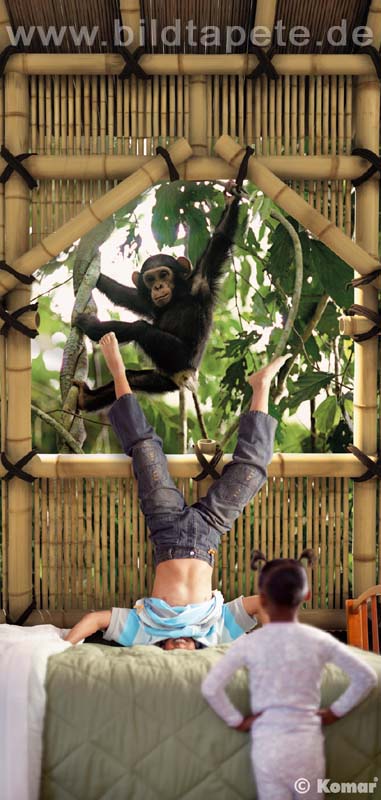 TREEHOUSE, eine Hommage an die Anthropologin Jane Goodall, Schimpanse vorm Fenster - bei Klick zurck zum Motiv TREEHOUSE