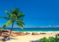 Fototapeten von Tropenthemen, Strand, Sonne, Palmen, Inseln