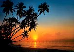 Tropeninsel im Sonnenuntergang - bei Klick Artikelbeschreibung