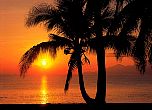 Fototapete Palmen im Sonnenuntergang - bei Klick Artikelbeschreibung