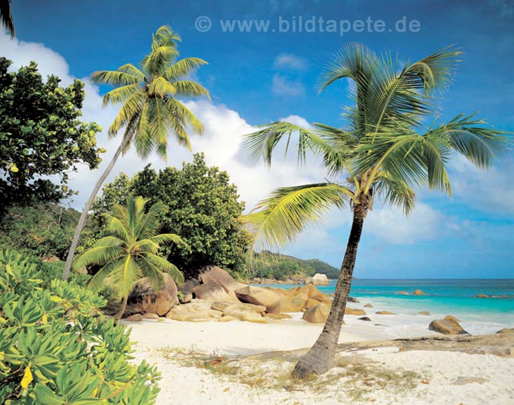 Praslin L'Amour, die Insel zum Verlieben - bei Klick zurck zur Motivbersicht