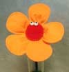SMILE orange ...