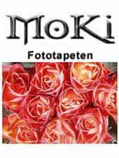 MoKi Fototapeten, Bildtapeten,                    Phototapeten, Rosentapete, Eiswuerfeltapete in                    Prospektqualitaet.