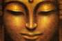 1-00663-siddhartha.jpg