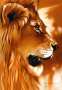 1-00759-lion.jpg